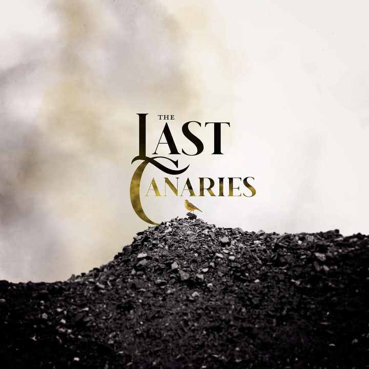 The Last Canaries album cover
